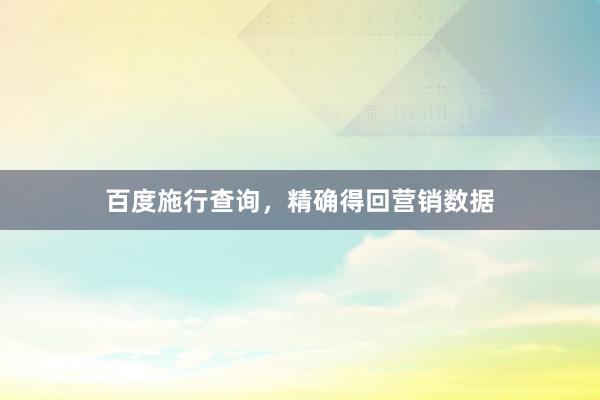 百度施行查询，精确得回营销数据