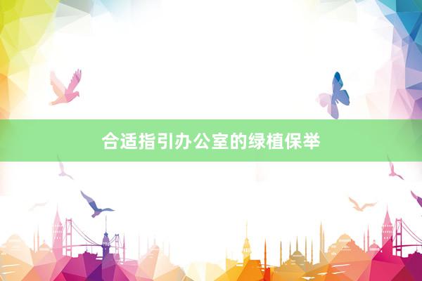 合适指引办公室的绿植保举